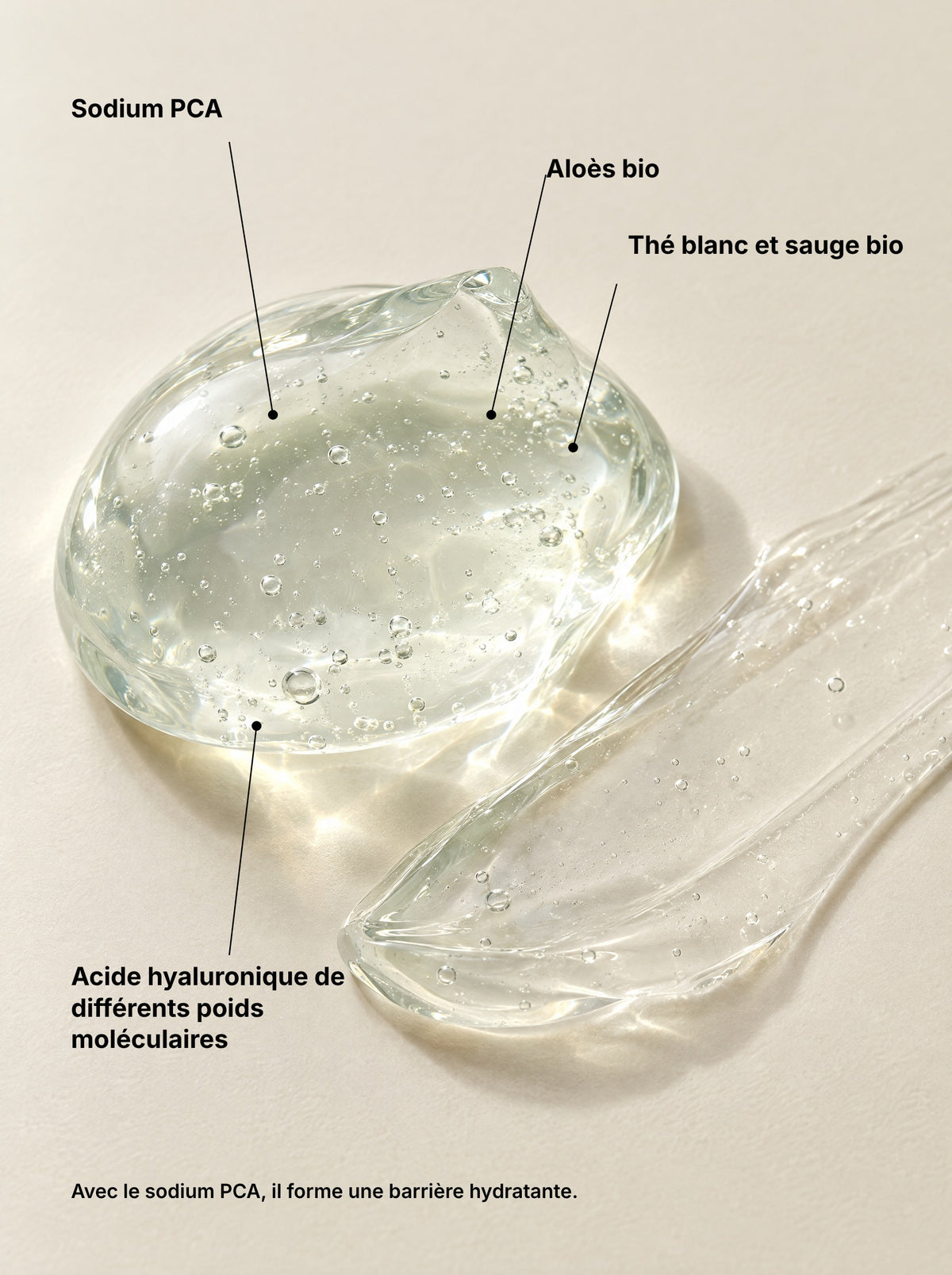 Les actifs du gel double hydratation FINOVA : sodium PCA, acide hyaluronique, aloès, thé blanc et sauge